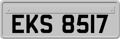 EKS8517