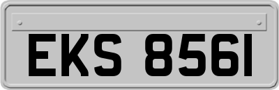 EKS8561