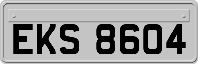 EKS8604