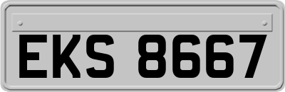 EKS8667