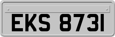 EKS8731