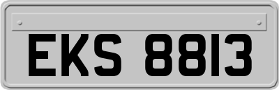 EKS8813