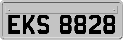 EKS8828