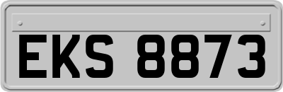EKS8873
