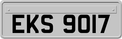 EKS9017