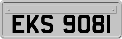 EKS9081