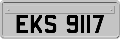 EKS9117