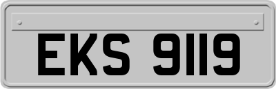 EKS9119