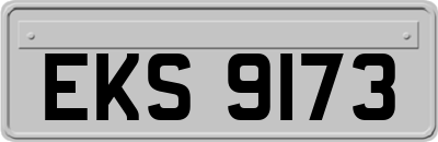 EKS9173