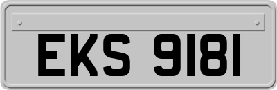 EKS9181