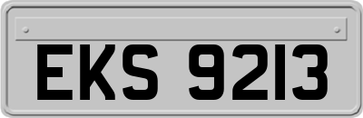 EKS9213