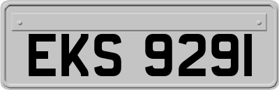 EKS9291