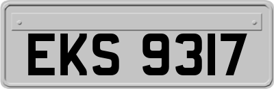 EKS9317