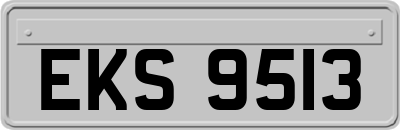 EKS9513