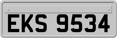 EKS9534