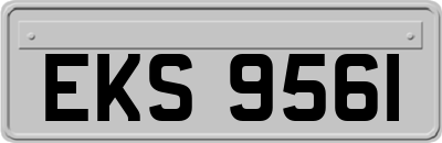 EKS9561