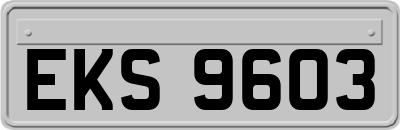 EKS9603