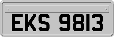 EKS9813