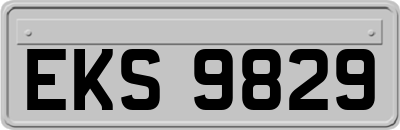 EKS9829