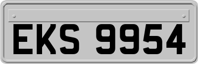 EKS9954