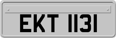 EKT1131