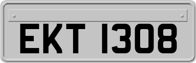 EKT1308