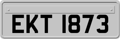 EKT1873