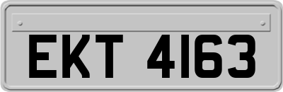 EKT4163