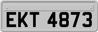 EKT4873