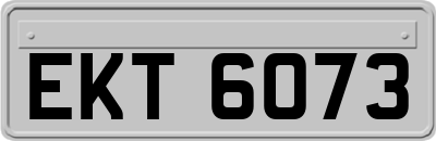 EKT6073
