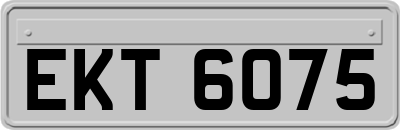 EKT6075