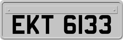 EKT6133