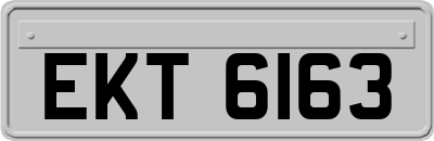 EKT6163
