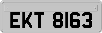 EKT8163