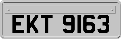EKT9163