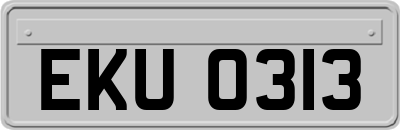 EKU0313