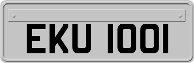 EKU1001