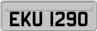 EKU1290