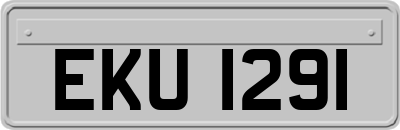 EKU1291