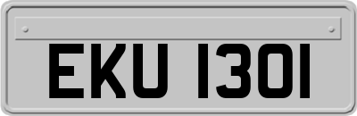 EKU1301