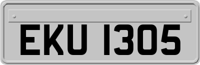 EKU1305