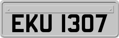 EKU1307