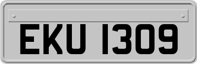 EKU1309