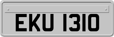 EKU1310