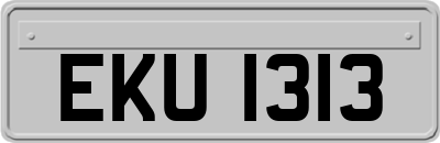 EKU1313