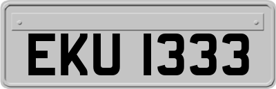 EKU1333