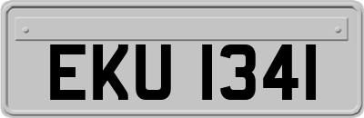 EKU1341