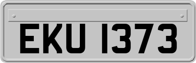 EKU1373