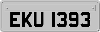 EKU1393