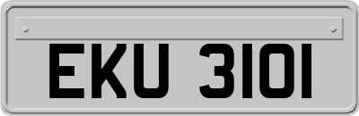 EKU3101